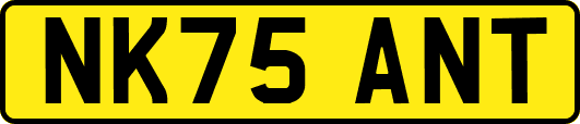 NK75ANT