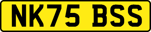 NK75BSS