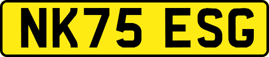 NK75ESG