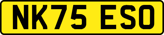 NK75ESO