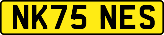 NK75NES