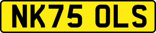 NK75OLS