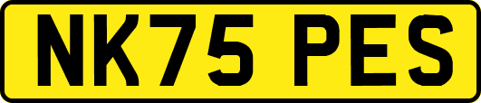 NK75PES