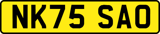 NK75SAO