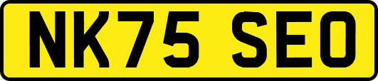 NK75SEO