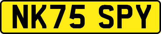 NK75SPY