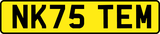 NK75TEM