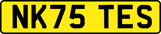 NK75TES