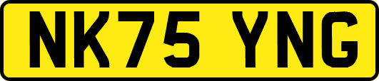 NK75YNG