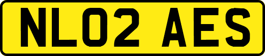 NL02AES