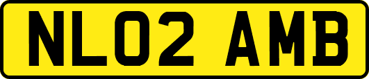 NL02AMB
