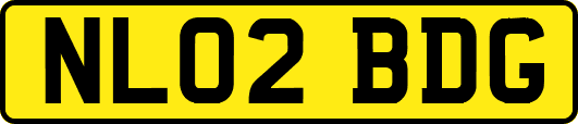 NL02BDG