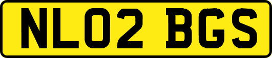 NL02BGS