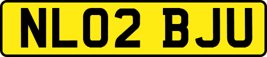 NL02BJU