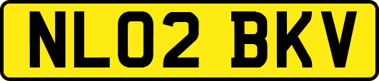 NL02BKV