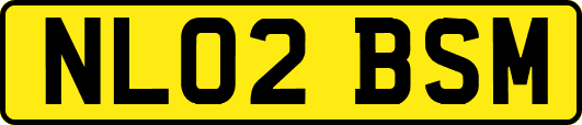 NL02BSM