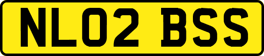 NL02BSS