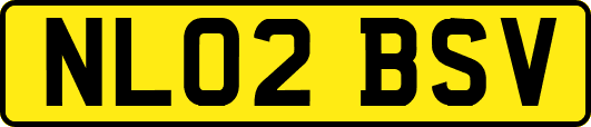 NL02BSV