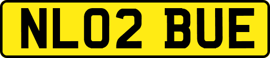 NL02BUE