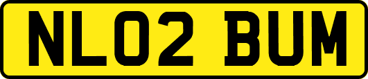 NL02BUM