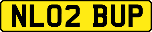 NL02BUP