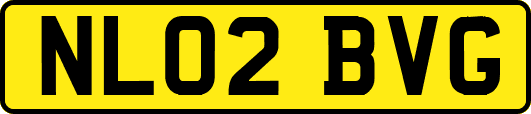 NL02BVG