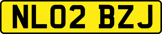 NL02BZJ