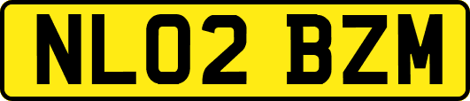 NL02BZM