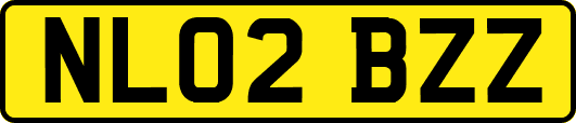 NL02BZZ