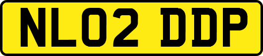 NL02DDP