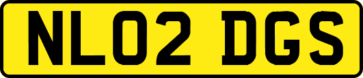 NL02DGS