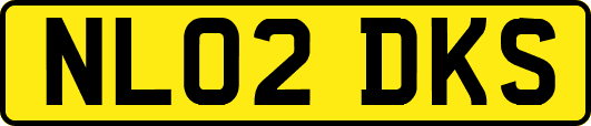 NL02DKS