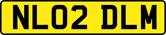 NL02DLM