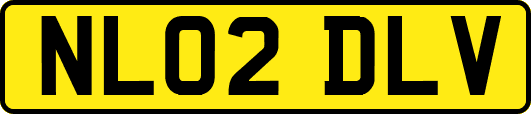 NL02DLV