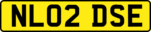NL02DSE