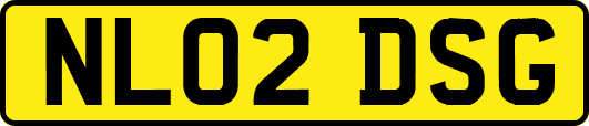 NL02DSG