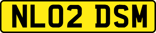 NL02DSM