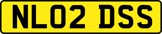 NL02DSS
