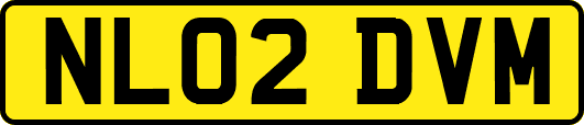 NL02DVM
