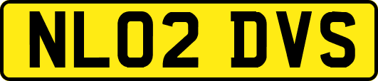 NL02DVS