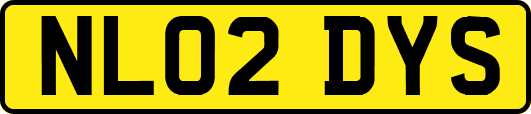 NL02DYS