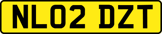 NL02DZT