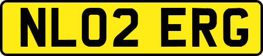 NL02ERG