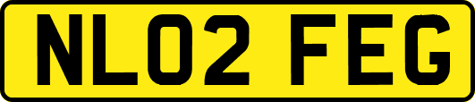 NL02FEG