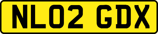 NL02GDX