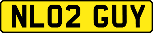 NL02GUY