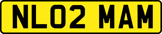 NL02MAM