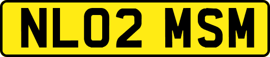 NL02MSM