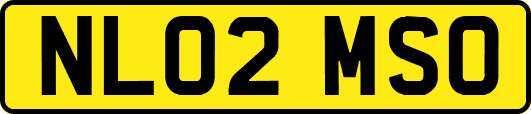 NL02MSO