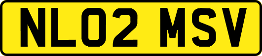 NL02MSV
